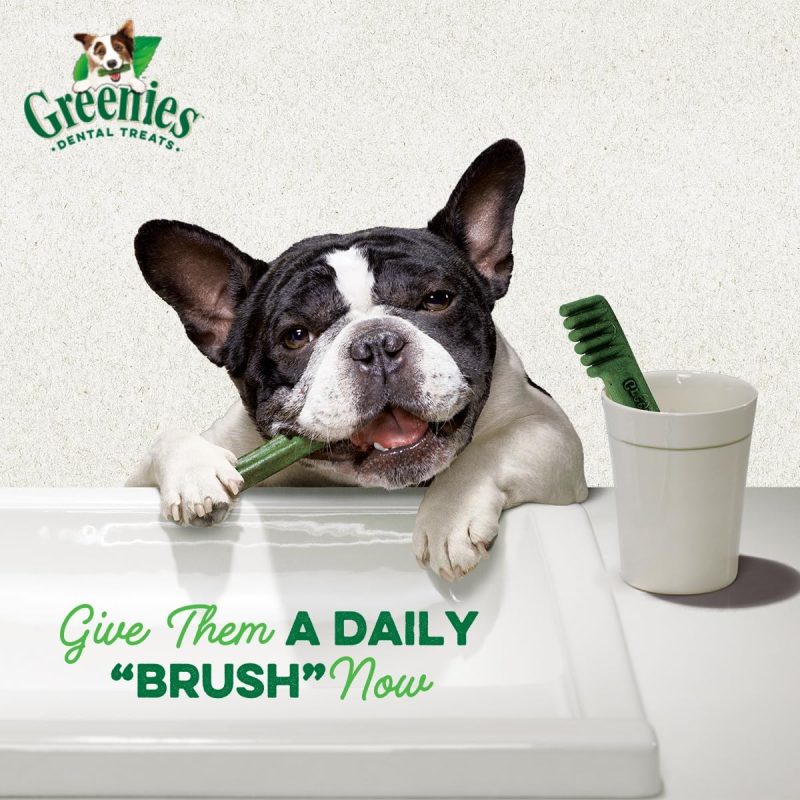 GREENIES Original Regular Natural Dog Dental Chews Oral Health Dog Treats, 36 Count (Pack of 1) - Image 60