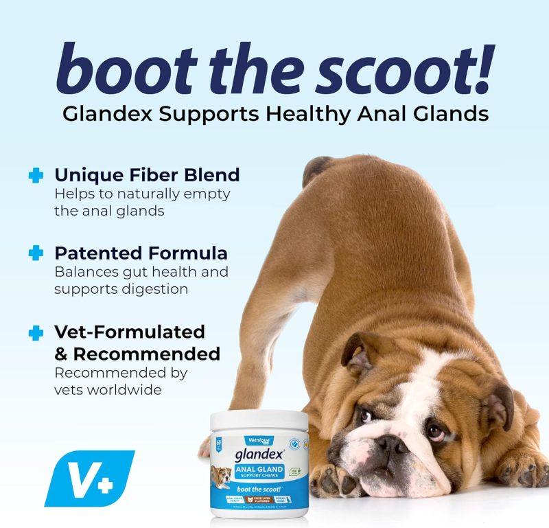 Glandex Anal Gland Soft Chew Treats with Pumpkin for Dogs Digestive Enzymes, Probiotics Fiber Supplement for Dogs Boot The Scoot - Image 2