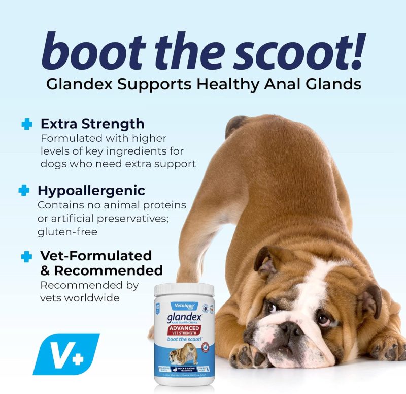 Glandex Anal Gland Soft Chew Treats with Pumpkin for Dogs Digestive Enzymes, Probiotics Fiber Supplement for Dogs Boot The Scoot - Image 47