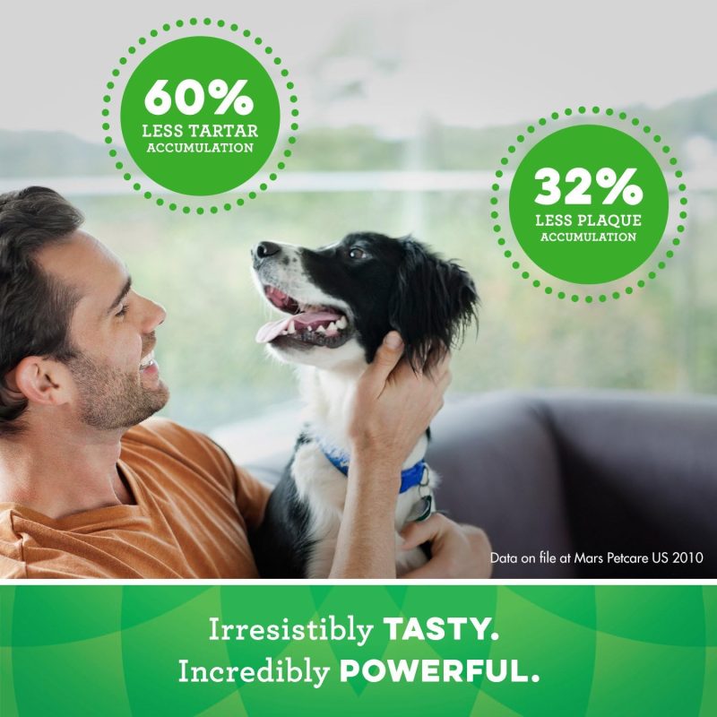 GREENIES Original Regular Natural Dog Dental Chews Oral Health Dog Treats, 36 Count (Pack of 1) - Image 197