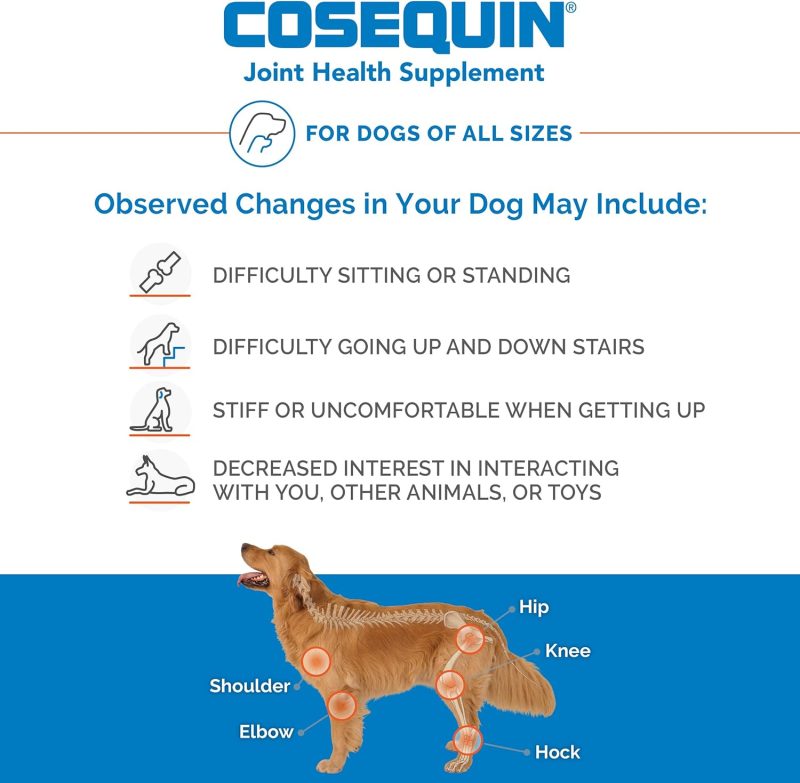 Nutramax Cosequin Maximum Strength Joint Health Supplement for Dogs - With Glucosamine, Chondroitin, and MSM, 132 Chewable - Image 9