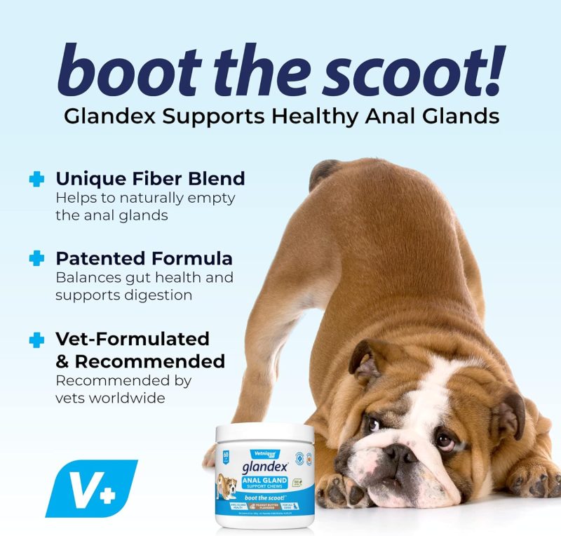 Glandex Anal Gland Soft Chew Treats with Pumpkin for Dogs Digestive Enzymes, Probiotics Fiber Supplement for Dogs Boot The Scoot - Image 44