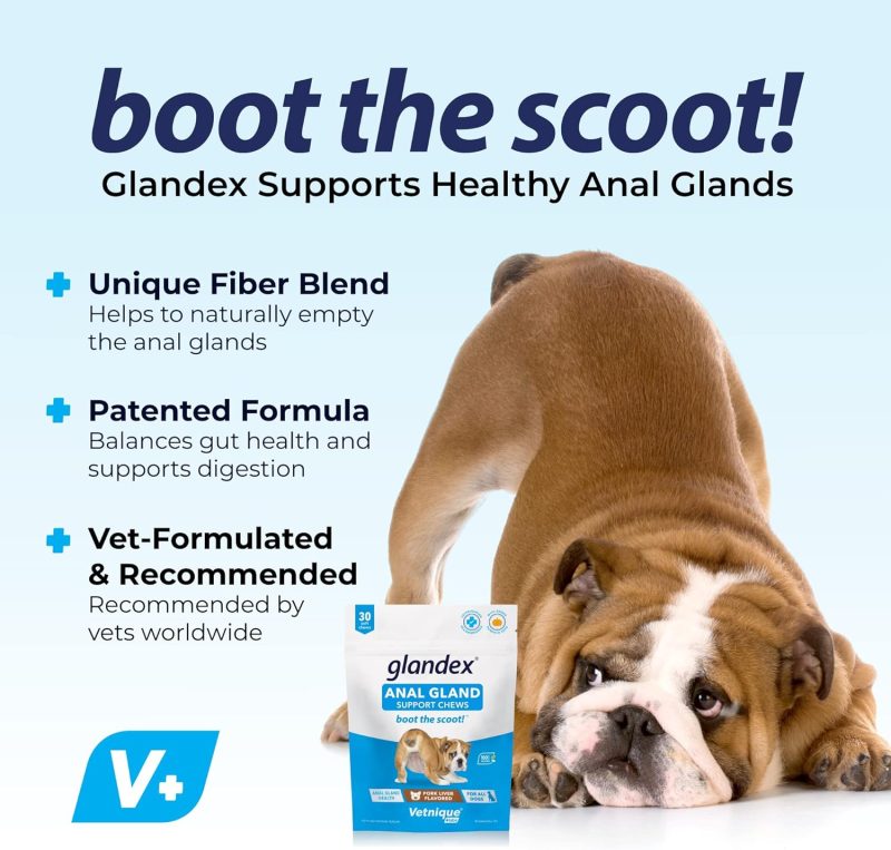 Glandex Anal Gland Soft Chew Treats with Pumpkin for Dogs Digestive Enzymes, Probiotics Fiber Supplement for Dogs Boot The Scoot - Image 30