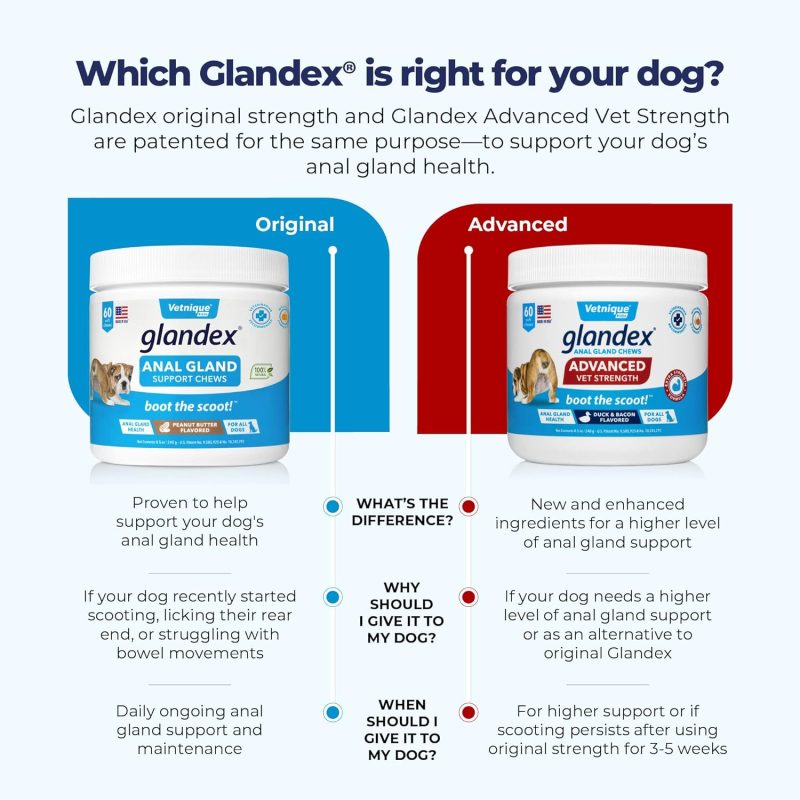Glandex Anal Gland Soft Chew Treats with Pumpkin for Dogs Digestive Enzymes, Probiotics Fiber Supplement for Dogs Boot The Scoot - Image 15
