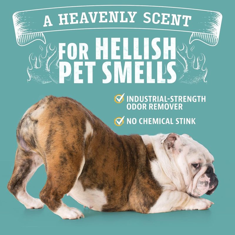 Angry Orange Pet Odor Eliminator for Strong Odor - Citrus Deodorizer for Strong Dog or Cat Pee Smells on Carpet, Furniture & - Image 8