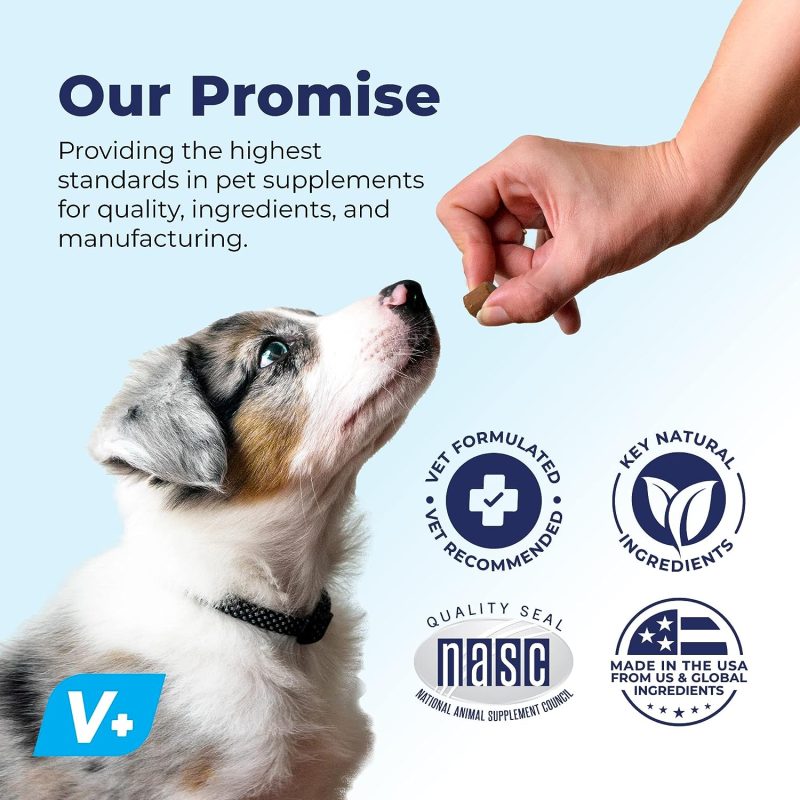 Glandex Anal Gland Soft Chew Treats with Pumpkin for Dogs Digestive Enzymes, Probiotics Fiber Supplement for Dogs Boot The Scoot - Image 24
