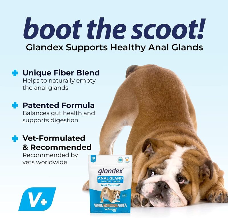 Glandex Anal Gland Soft Chew Treats with Pumpkin for Dogs Digestive Enzymes, Probiotics Fiber Supplement for Dogs Boot The Scoot - Image 37