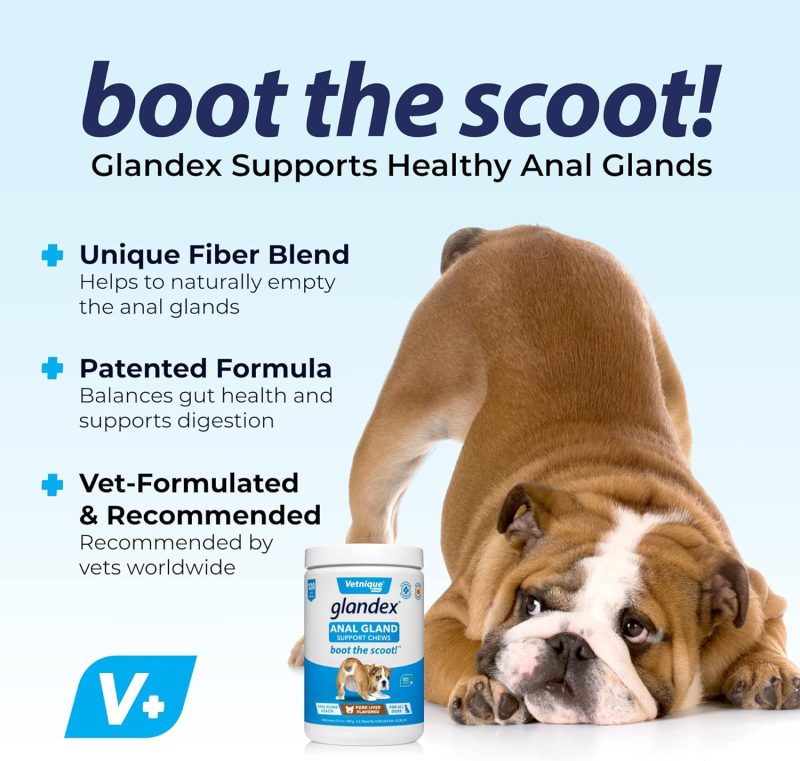 Glandex Anal Gland Soft Chew Treats with Pumpkin for Dogs Digestive Enzymes, Probiotics Fiber Supplement for Dogs Boot The Scoot - Image 34