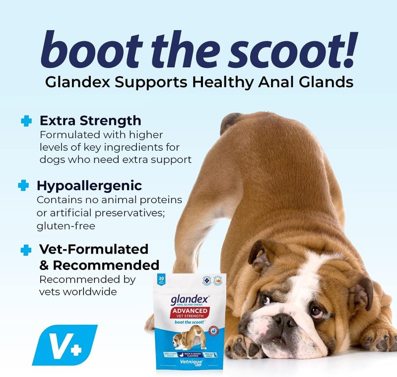 Glandex Anal Gland Soft Chew Treats with Pumpkin for Dogs Digestive Enzymes, Probiotics Fiber Supplement for Dogs Boot The Scoot - Image 27