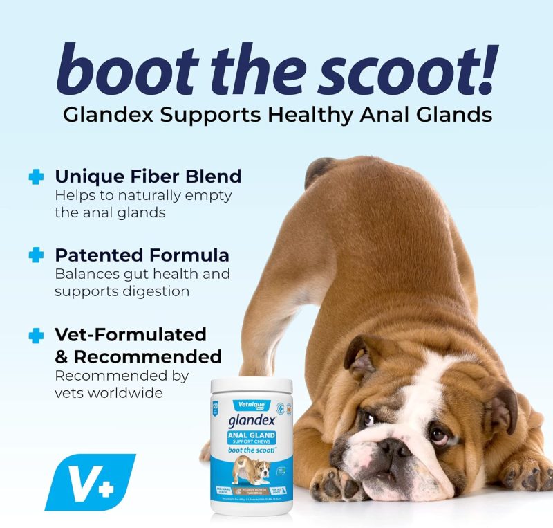 Glandex Anal Gland Soft Chew Treats with Pumpkin for Dogs Digestive Enzymes, Probiotics Fiber Supplement for Dogs Boot The Scoot - Image 20