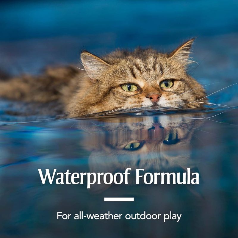 PetArmor Plus Flea and Tick Prevention for Dogs, Dog Flea and Tick Treatment, Waterproof Topical, Fast Acting, Small Dogs (5-22 - Image 19