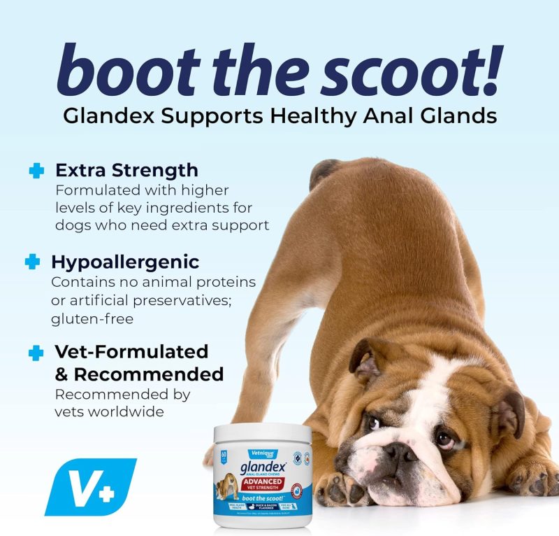 Glandex Anal Gland Soft Chew Treats with Pumpkin for Dogs Digestive Enzymes, Probiotics Fiber Supplement for Dogs Boot The Scoot - Image 11