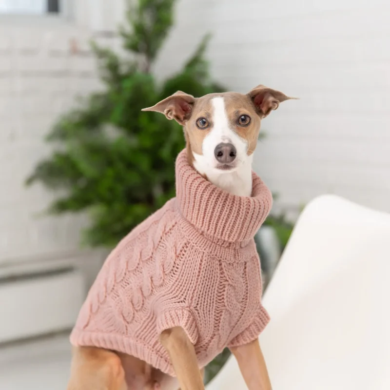 Chalet Sweater - Pink - Image 4