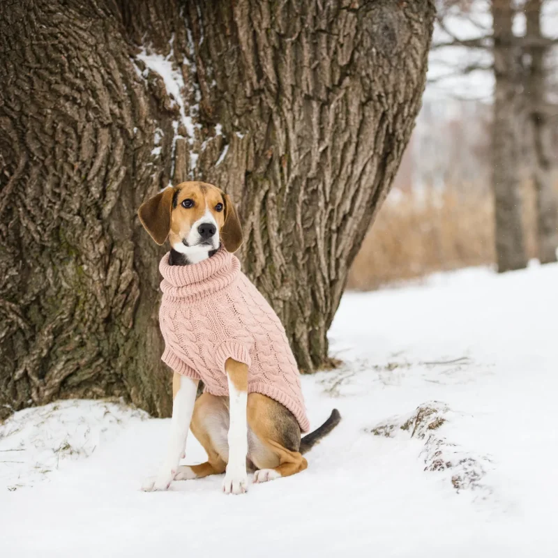 Chalet Sweater - Pink - Image 5