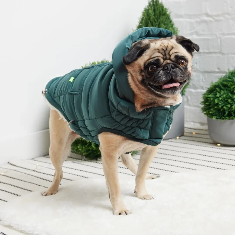 The Puff Parka - Teal - Image 4