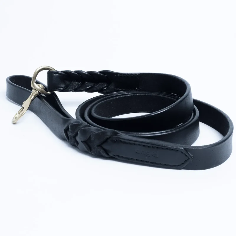 Braided Leash - Image 2