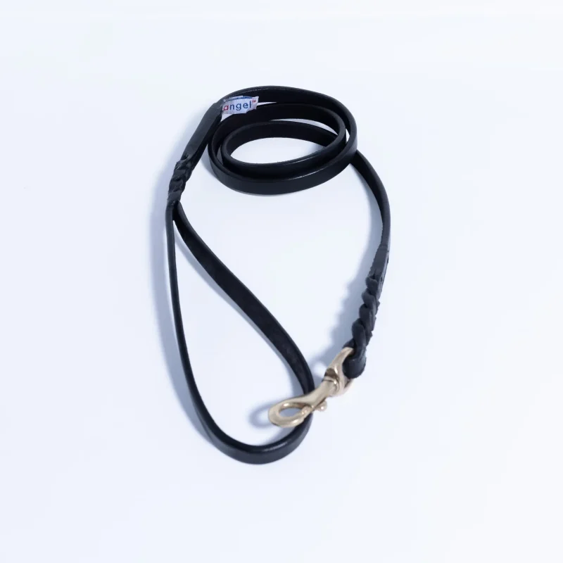 Braided Leash - Image 41