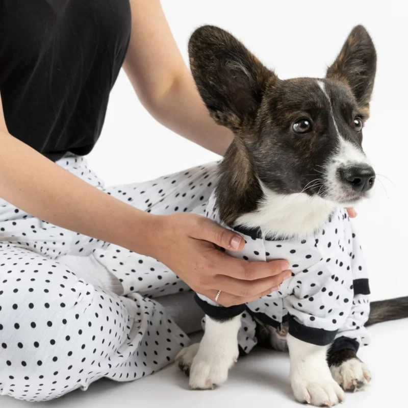 Dog Pajama - Polka Dot - Image 3