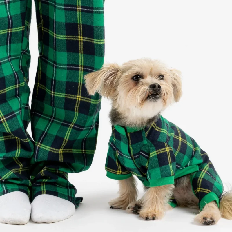 Plaid Dog Pajama - Green - Image 3