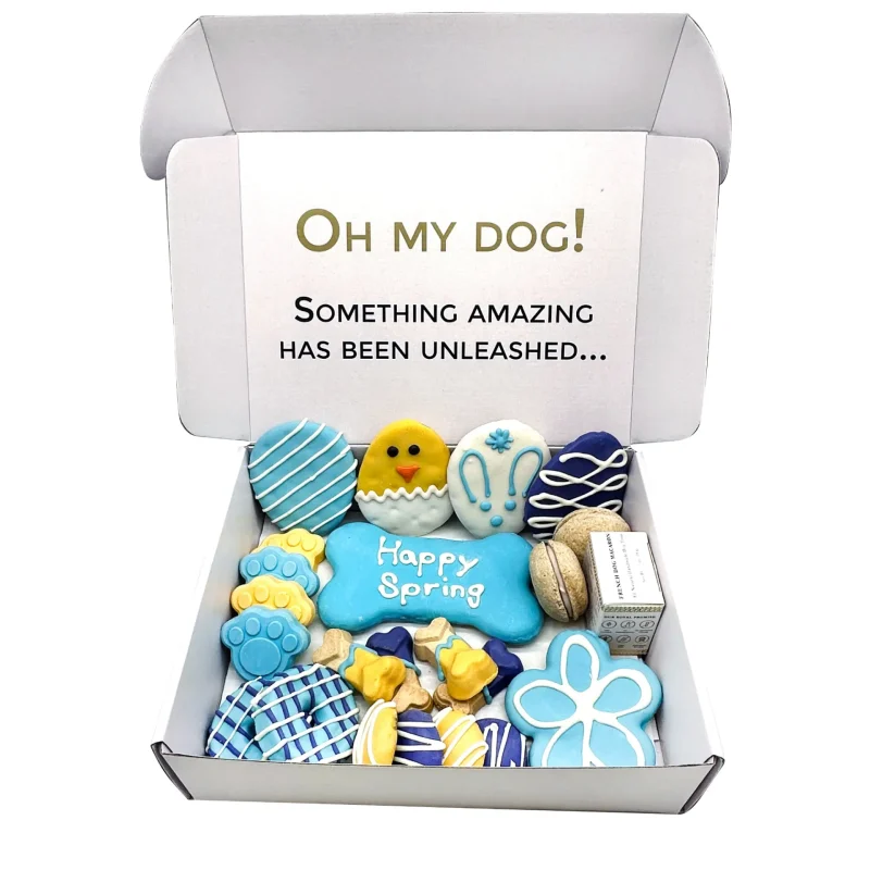 Spring Themed Dog Treats Gift Box - Image 3